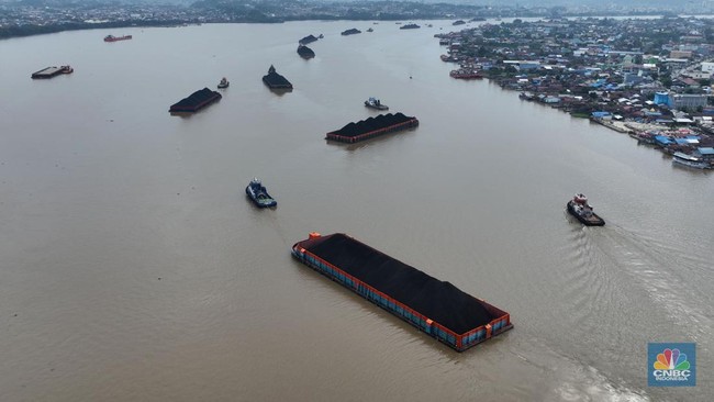 Coal Prices Hit US$150/Ton, Indonesian Businessmen React