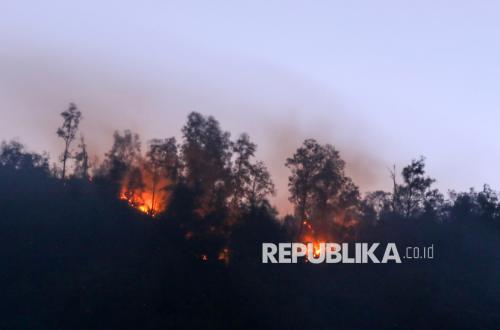 Forest Fires Spread in Mount Ijen, Extinguishing Efforts Hindered by Steep Terrain