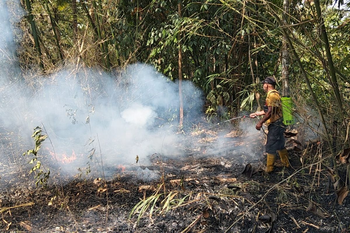 Banyumas Disaster Management Agency Strengthens Preparedness for Forest and Land Fires Amid Drought