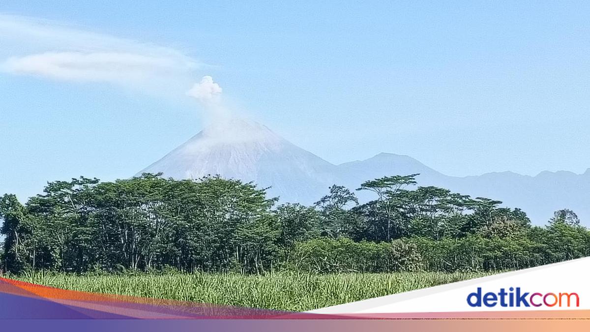 Semeru Erupts and Releases Incandescent Lava While TNBTS Remains Ablaze