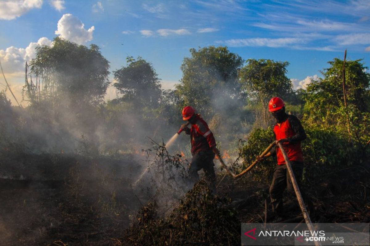 Govt focuses on ground operations fighting peatland fires