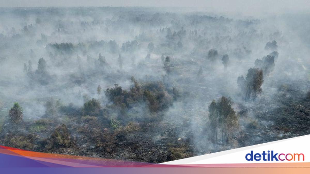 Indonesian Government Coordinates with ASEAN Regarding Transboundary Haze