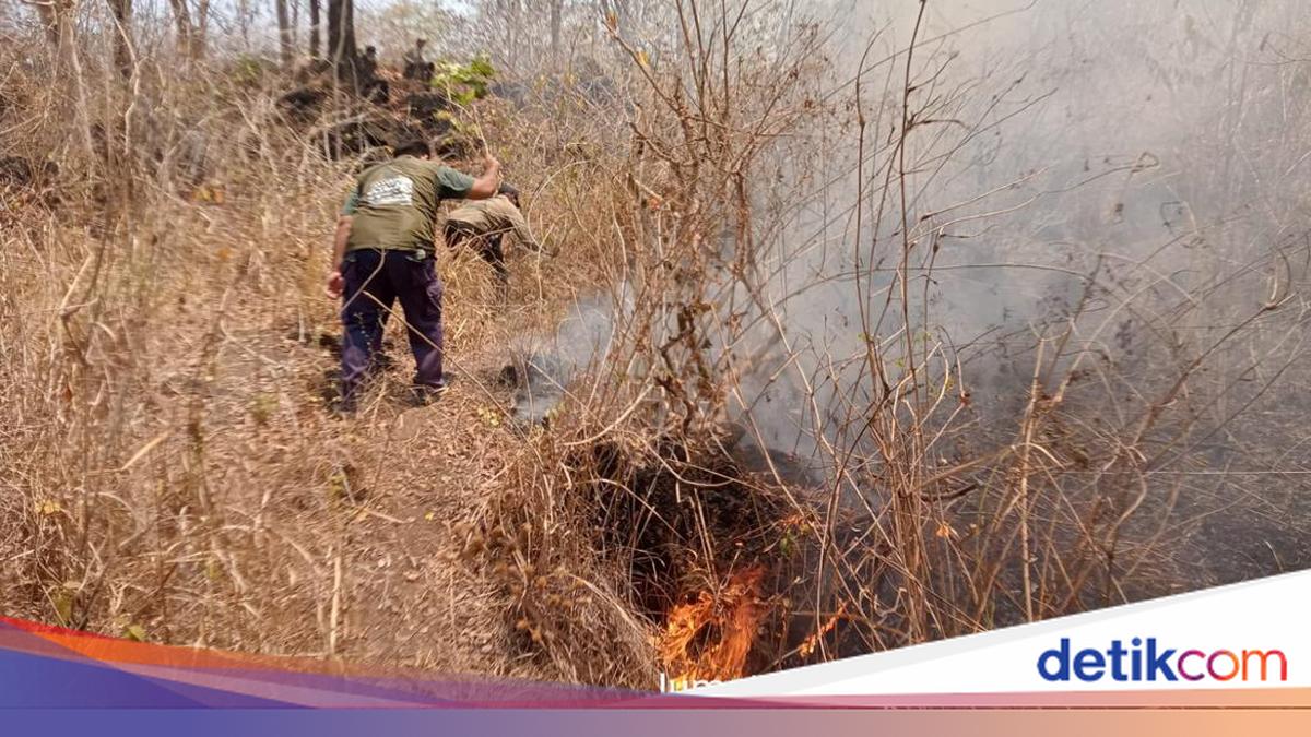 Mount Tambora Fires Burn for 4 Days, Scorching 834 Hectares