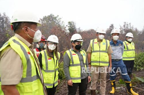 MIND ID Consolidates 60 Firefighters from Sumatra to Papua to Tackle Forest Fires
