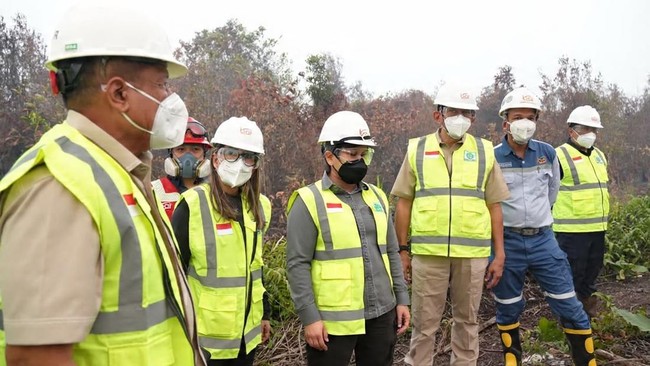 MIND ID Group Strengthens Forest and Land Fire Impact Management for Sustainability