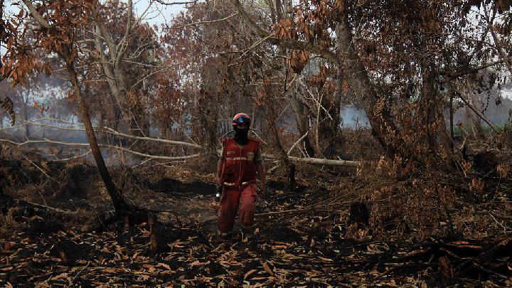 Weather Modification Operations Continue Across West and Central Kalimantan