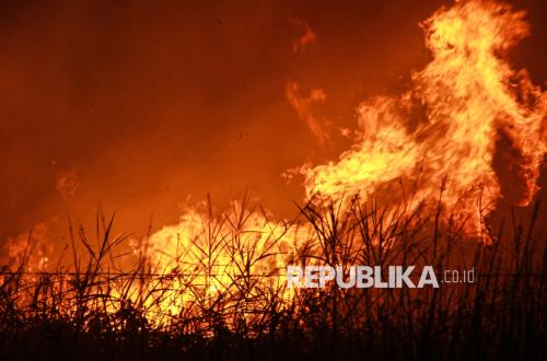Indonesia Coordinates with ASEAN to Tackle Forest Fire Haze