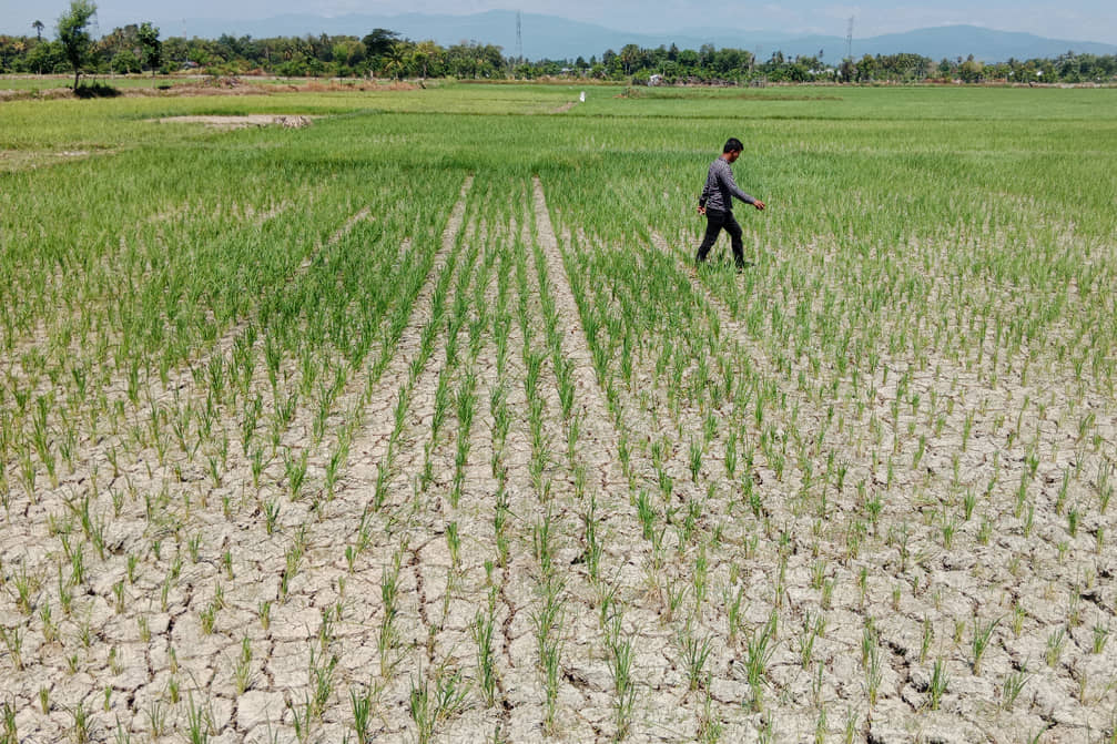 Hundreds of Farmers Forced to Change Occupations Due to Drought
