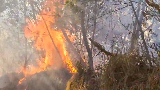 Foreign Media Highlight Indonesian Forest Fires, Smoke Reaches Philippines