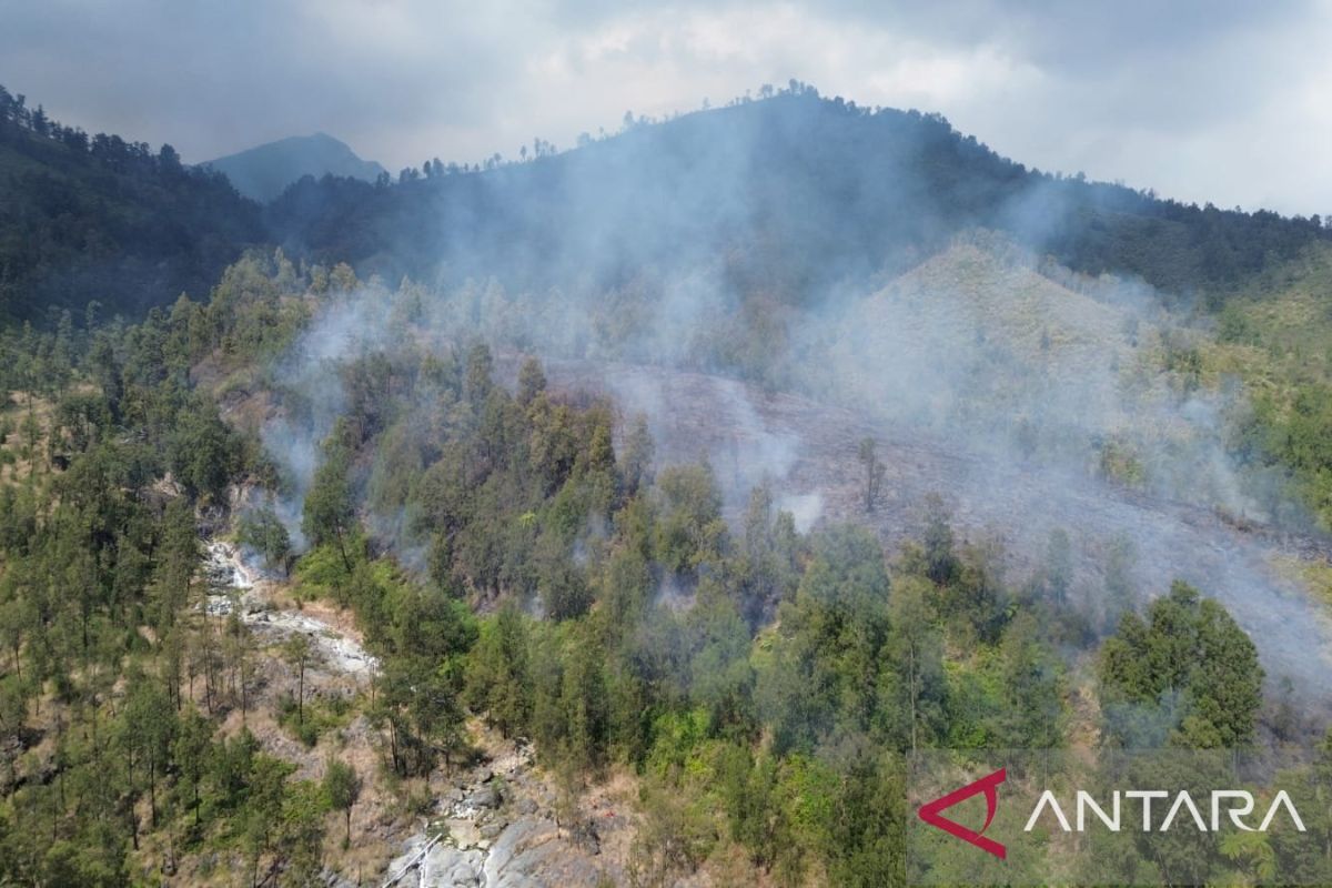 Banyuwangi Regency Declares Emergency Response Status for Ijen Crater Forest Fires