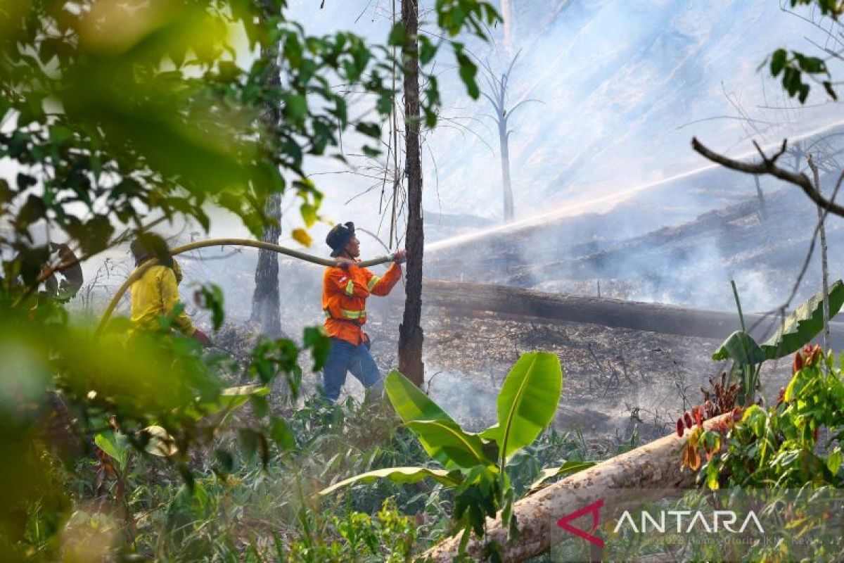 Indonesia steps up wildfire control in future capital Nusantara