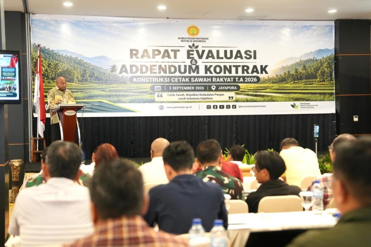 Papua Governor Emphasises Rice Field Expansion Must Deliver Tangible Benefits