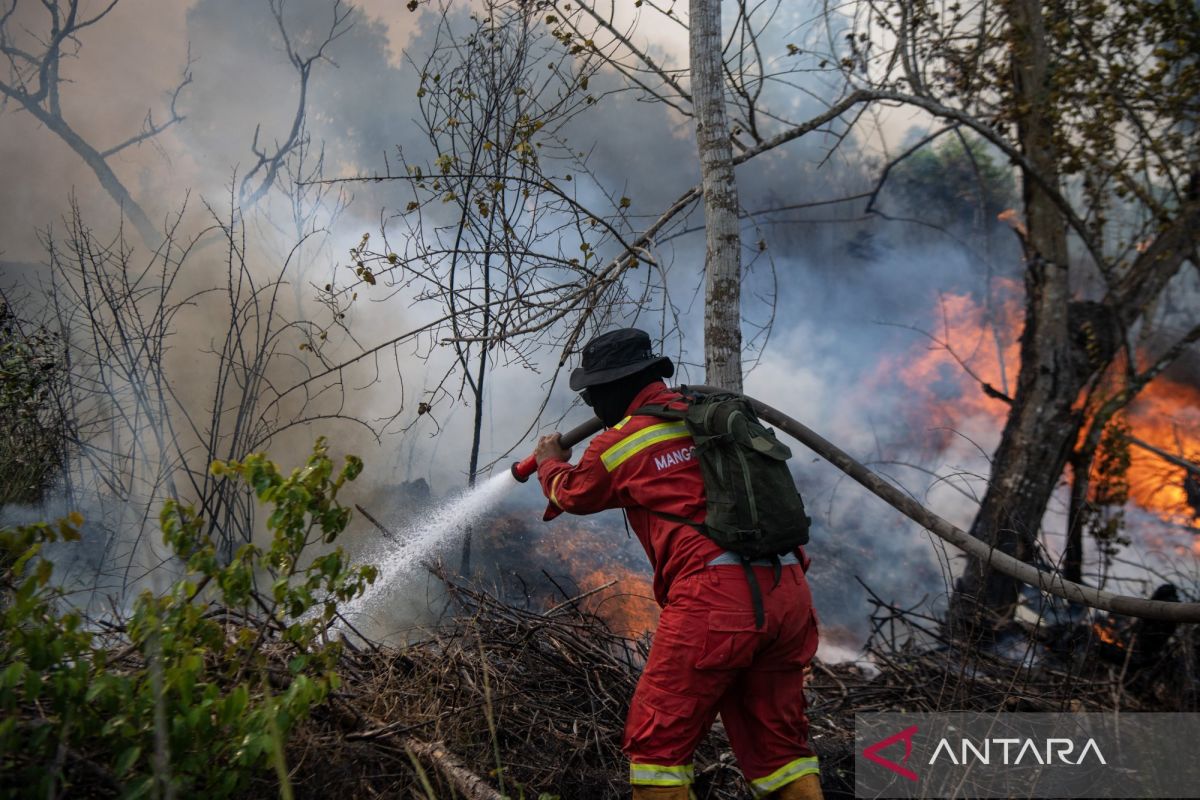 Expert: Forest and Land Fire Mitigation Efforts Must Be Careful and Precise