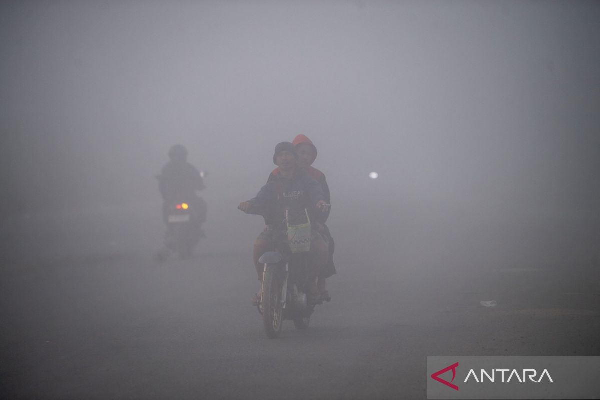 Expert: Citizens need air quality indicators to face forest fires