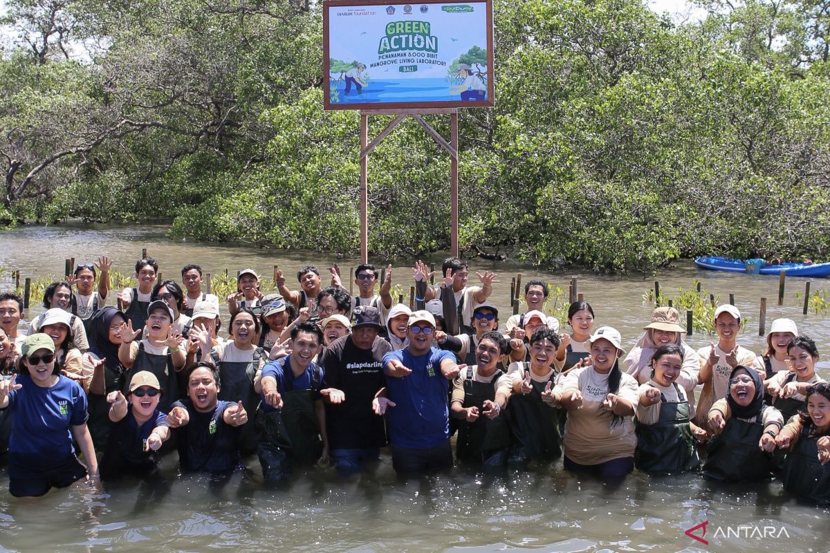 Mangroves Require Care, Not Just Planting