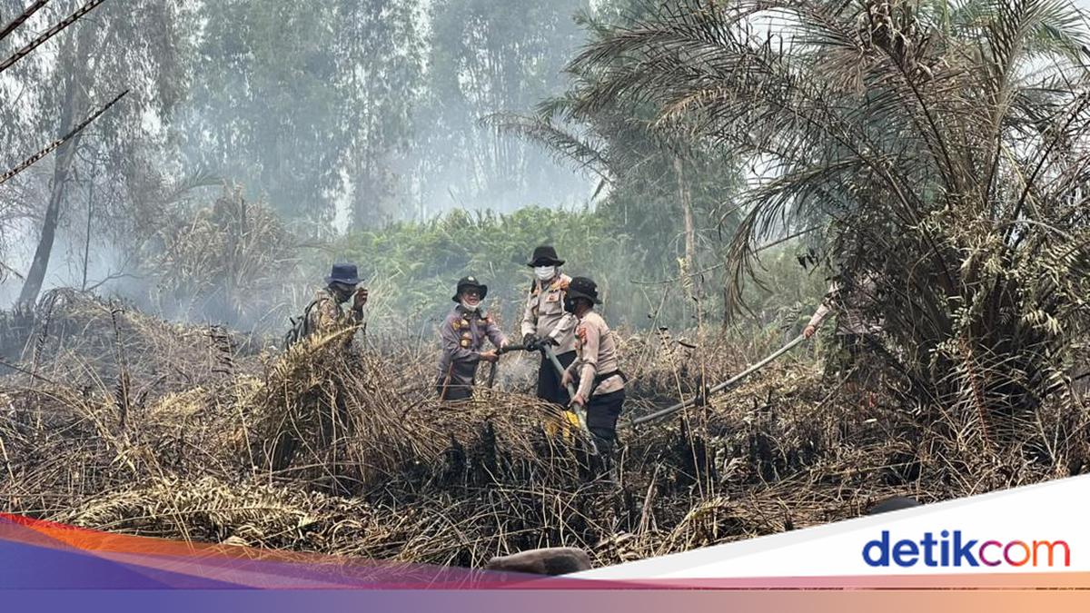Joint Task Force Extinguishes Forest and Land Fires in Siak, Water Bombing and Heavy Equipment Deployed