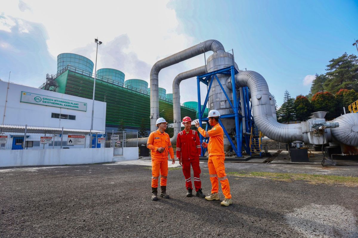PLN says Gunung Ungaran geothermal plant still in study phase