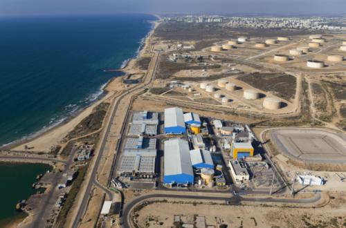 Rare Event: Microalgae Cripple Nearly All of Israel's Drinking Water Facilities