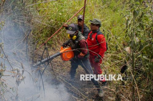 Semeru Forest Fires Extinguished, Over 3,000 Hectares Affected