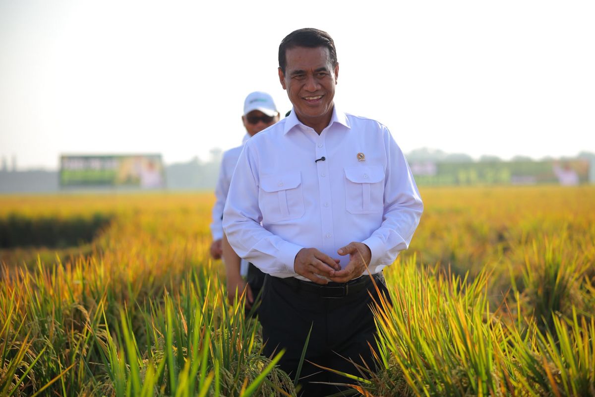 Minister says rice production and surplus maintained, ready to face El Nino