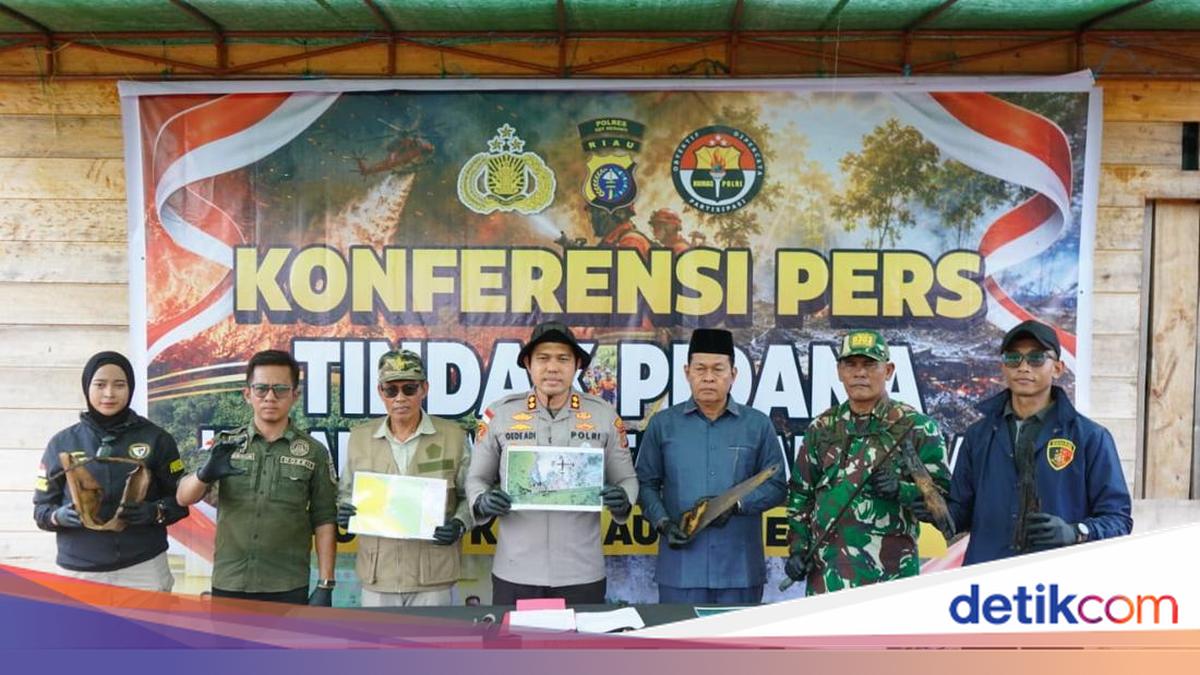 Rubbish Burning Causes 85-Hectare Forest and Land Fire in Meranti, One Man Arrested