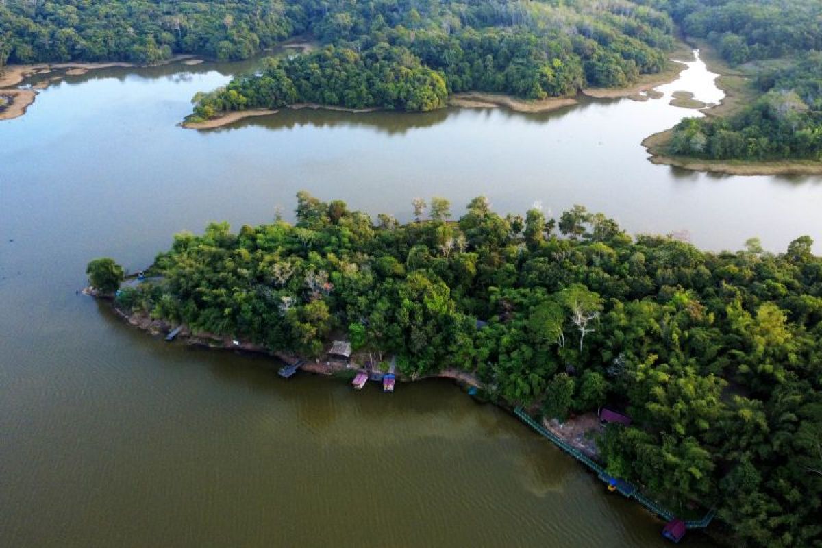 Forestry Ministry: Human Resource Capacity Building Key to Carbon Market Development