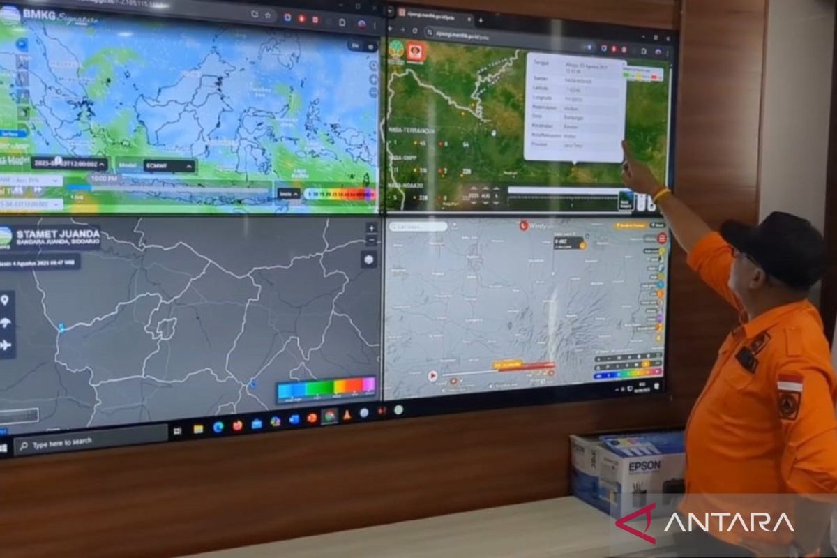 AI against fire: the future of forest and land fire mitigation in Indonesia