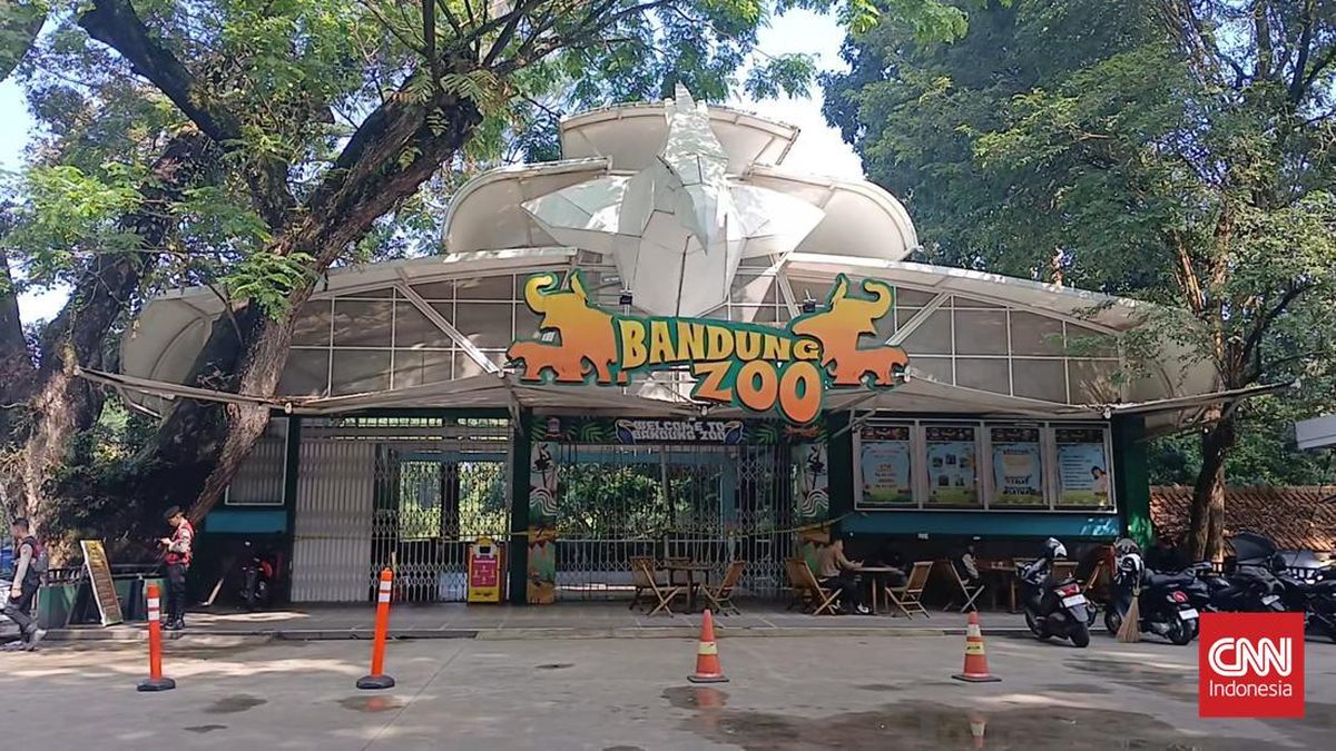 Bandung Zoo Prepares Curtains and Animal Isolation Amid Volcanic Ash