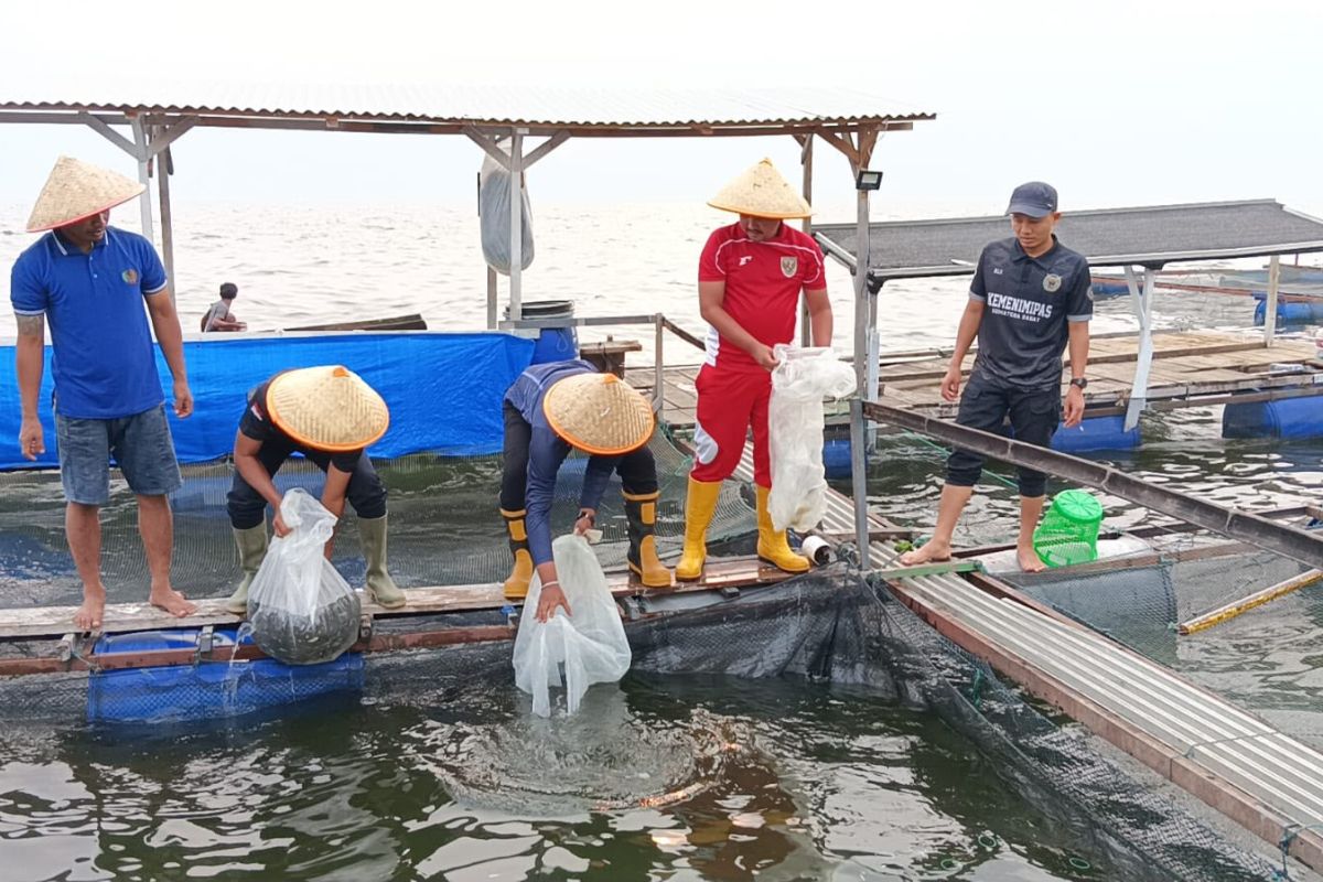 Maninjau Prison cultivates 20,000 fish fry to support food security