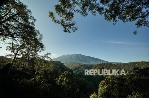 Planting 120,000 Trees, EIGER Develops Ecotourism Destination in Bogor