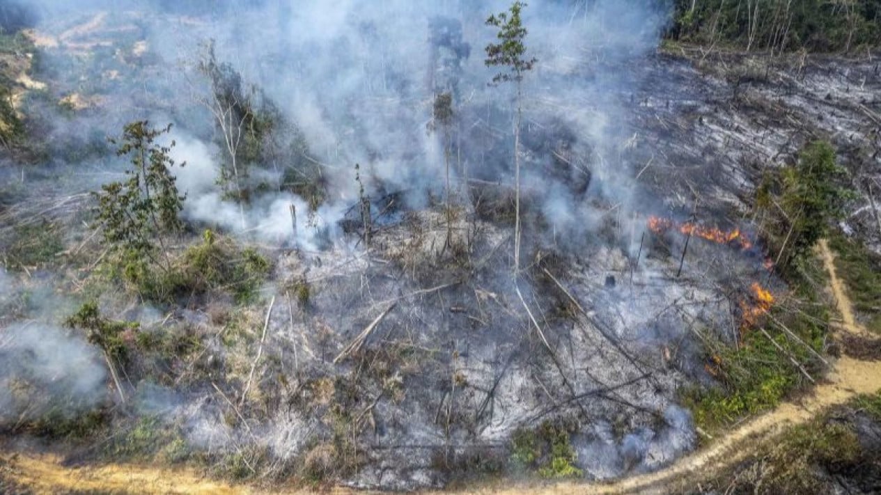 Prabowo Wants More Drones to Tackle Forest and Land Fires: We Must Prepare Our Mitigation