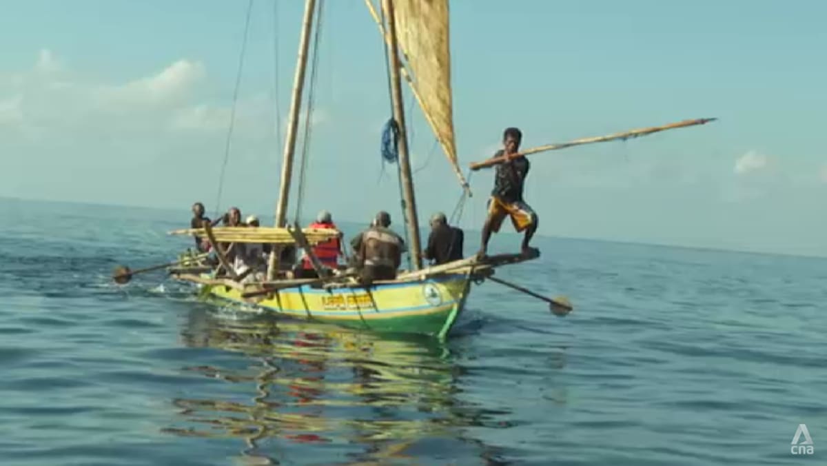 Indonesia's centuries-old whaling tradition faces an uncertain future