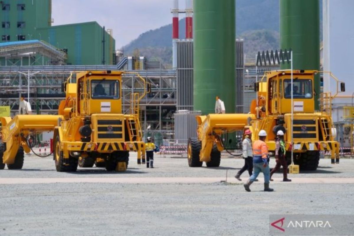 Academic: Mineral downstreaming strengthens national economic added value
