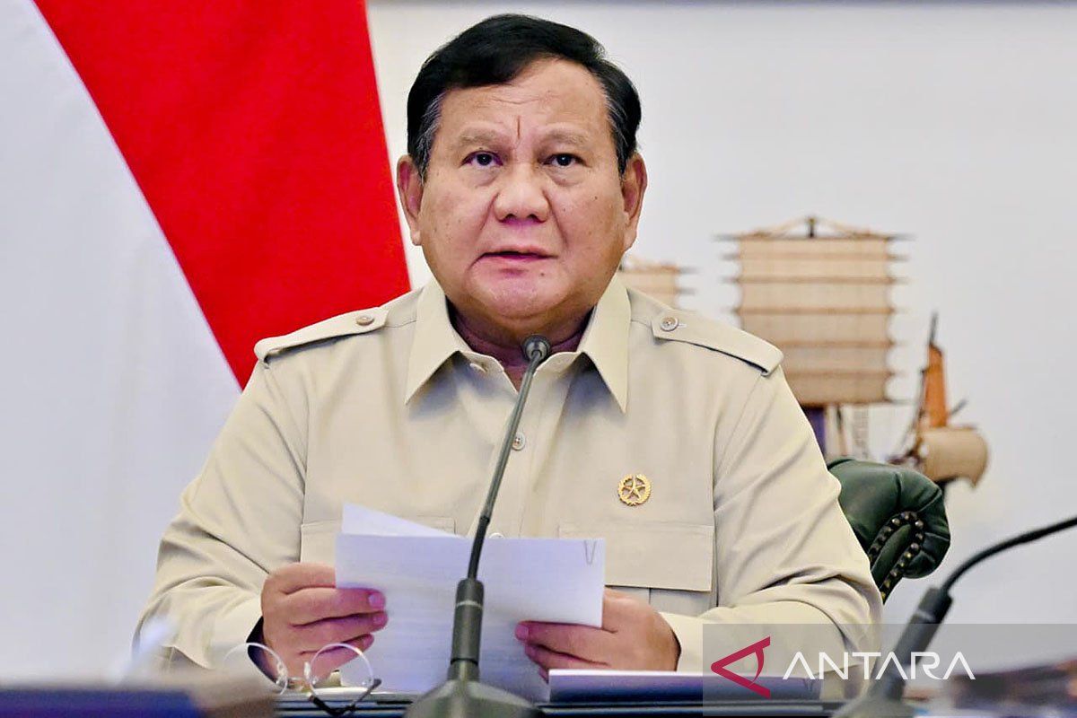 Prabowo orders forest fires must not reach IKN core zone