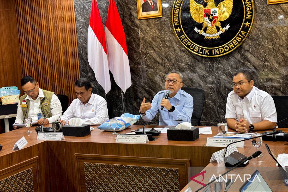 Food Affairs Coordinating Minister: Bulk rice aid distribution to be completed by September