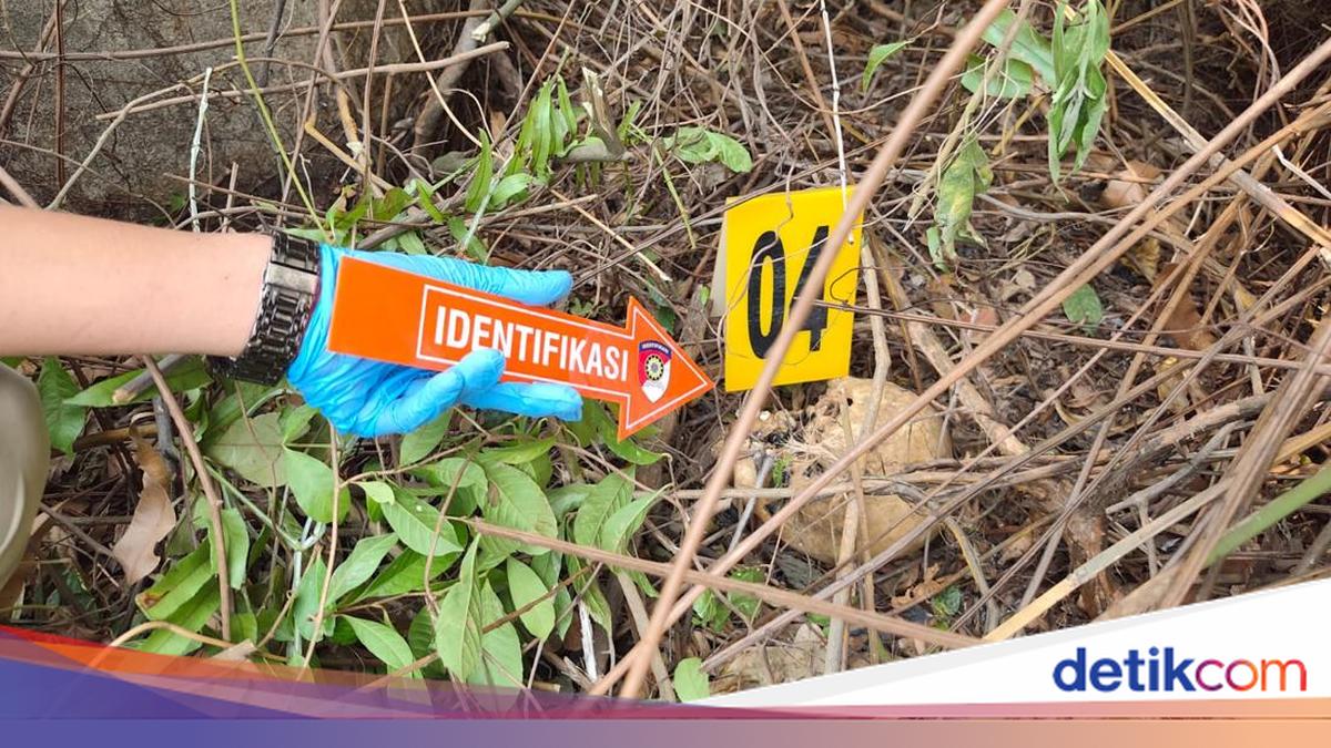 Found as Skeletons: Siblings in Banyuasin Raped Before Being Murdered