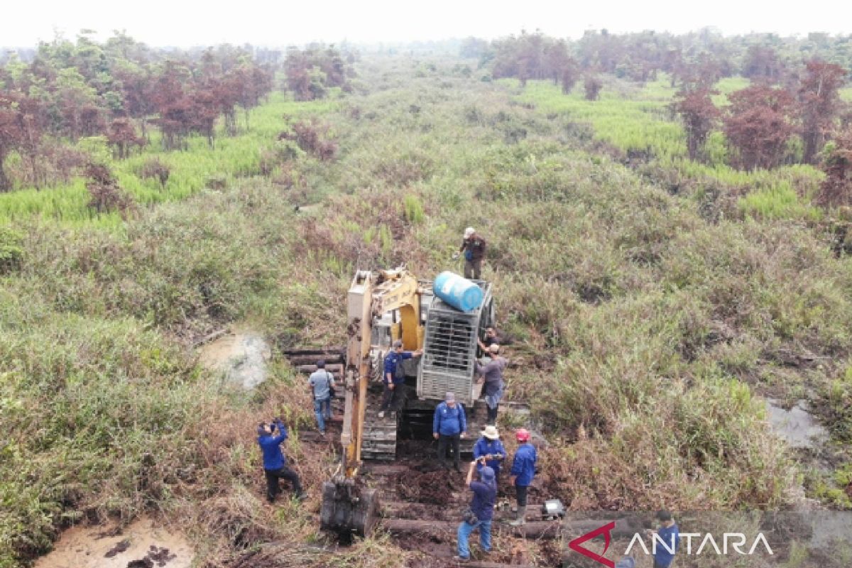 Forest fire team uncovers illegal encroachment in Ketapang