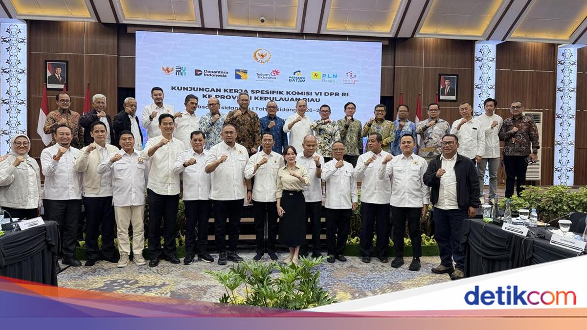 Andre Rosiade Backs Batam as Data Centre Hub, Urges Gas and Electricity Availability