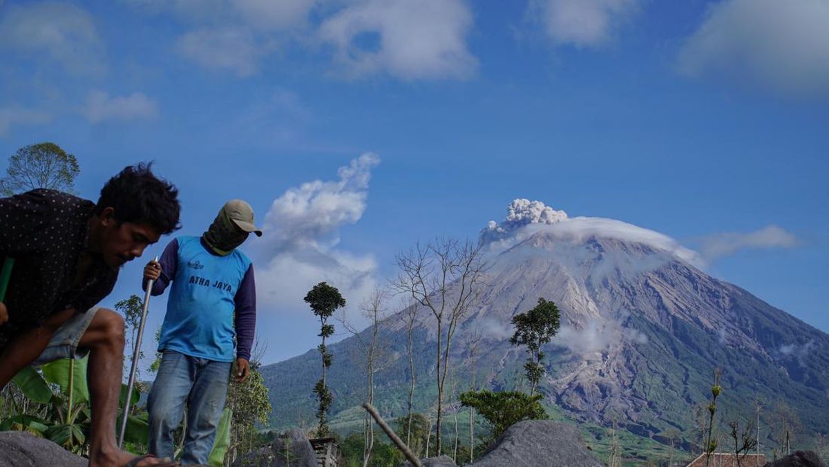 East Java BPBD: Semeru Eruption Normal, Not Yet Disrupting Residents' Activities