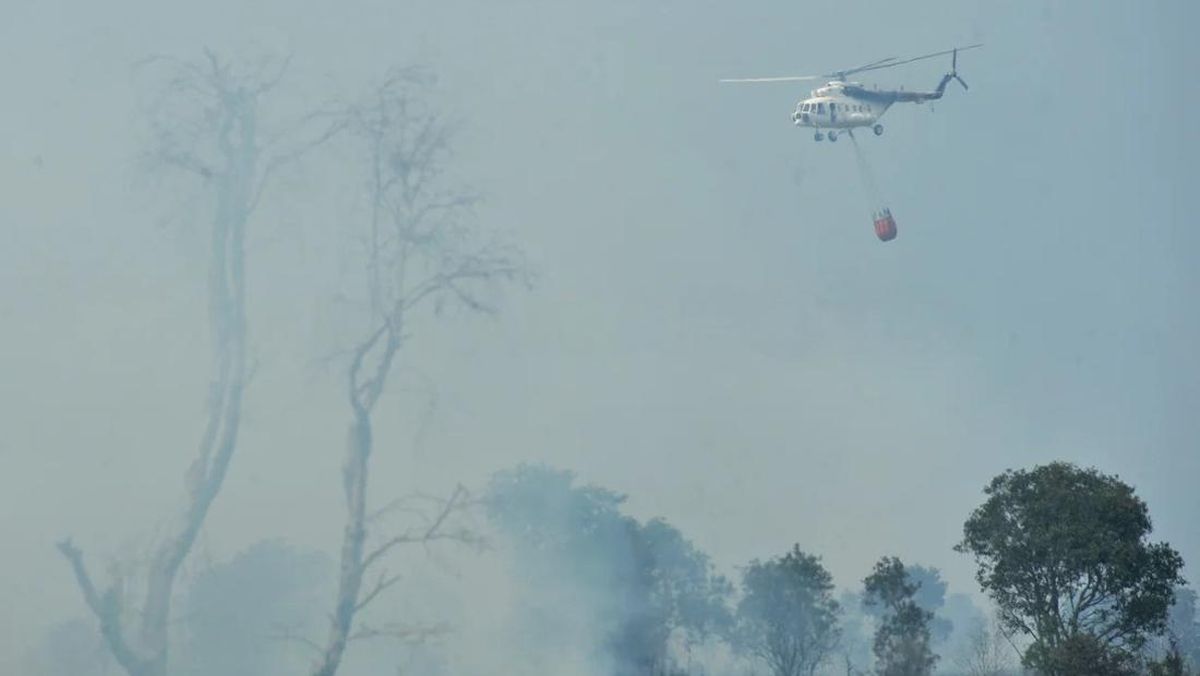 Water Bombing Helicopter Deployed to Extinguish Wildfires on Mount Ijen