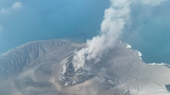Before the Eruption, Do Animals Really Show Warning Signs?