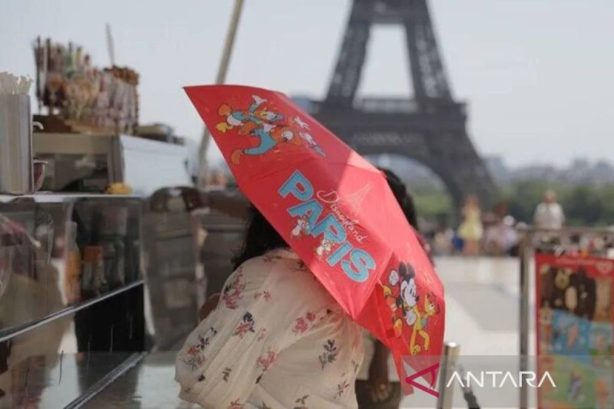 WMO: Wildfires and heatwaves threaten global air quality