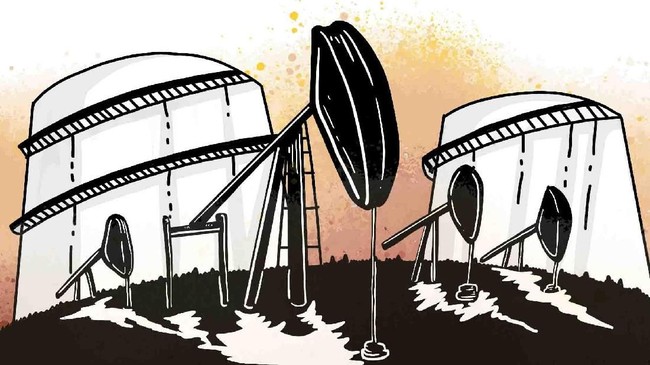Can a Special Business Entity Answer the Problems of the Oil and Gas Sector?