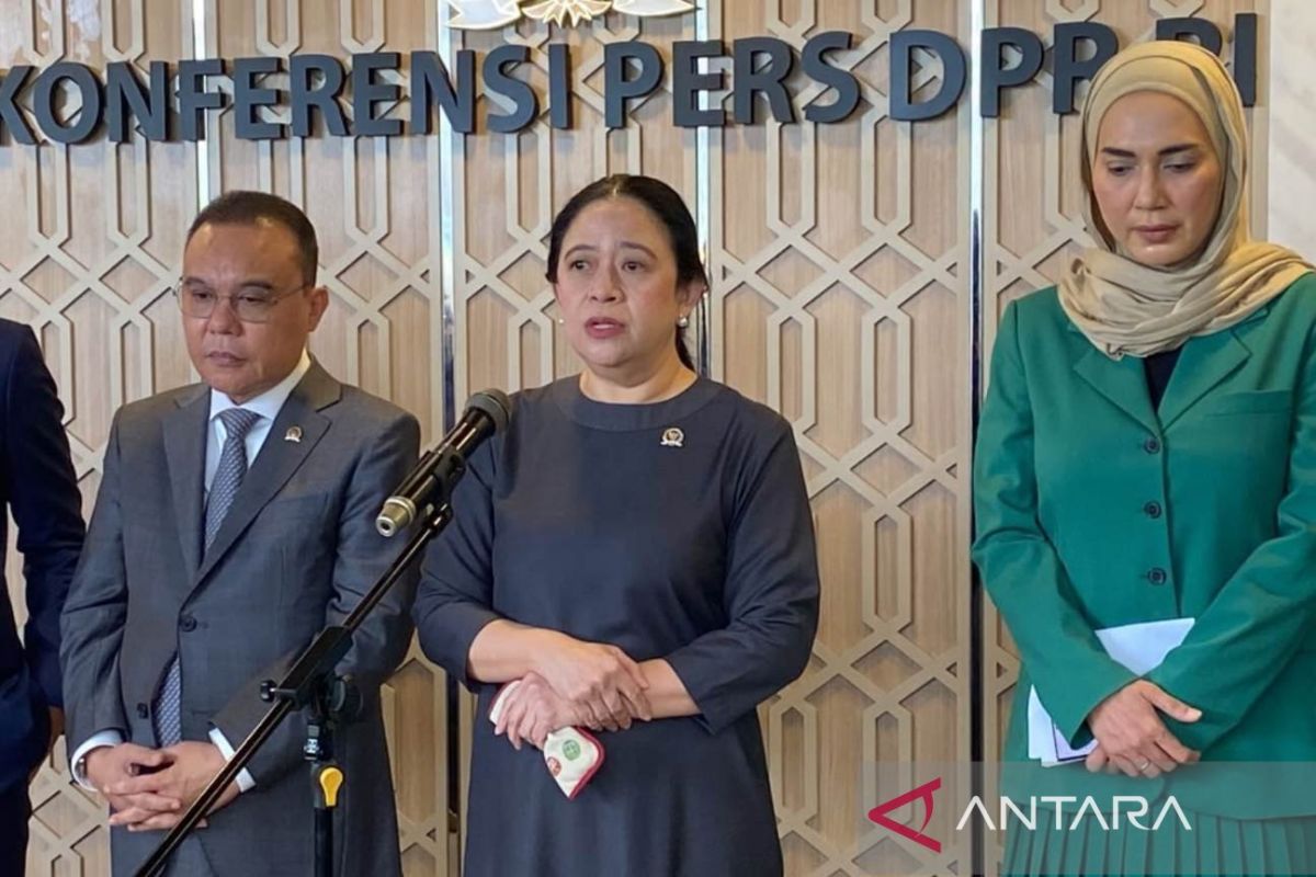 Puan says proposal to merge BMKG and the Geological Agency needs further study