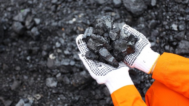 Not Just Coal: PTBA Targets 20% of Revenue from Downstream Projects