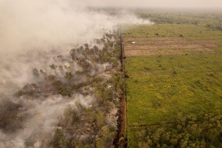 Malaysia Lifts Haze Emergency in Sarawak, but Poor Air Quality Persists