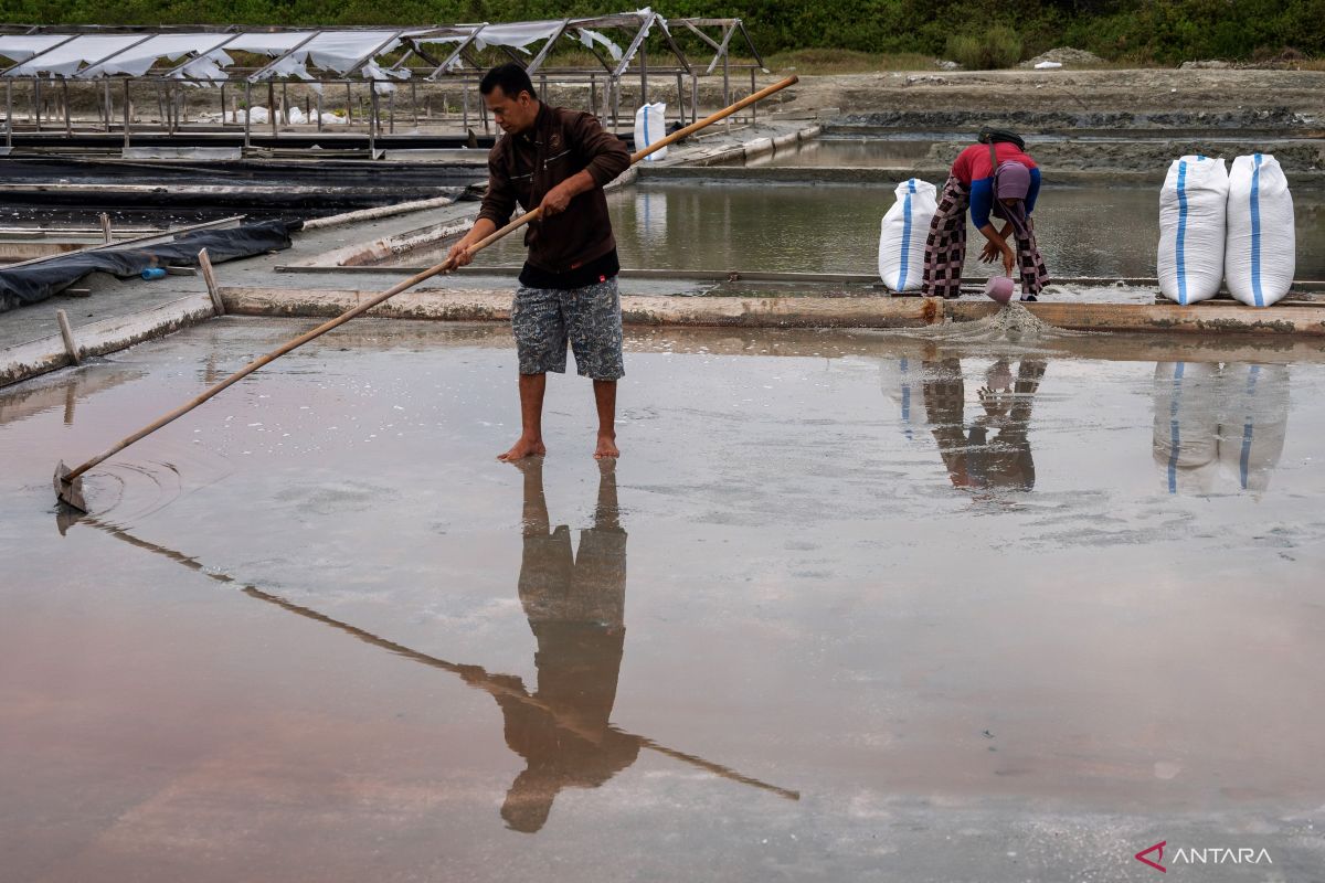 Economist: Needs mapping should support reduction of salt imports