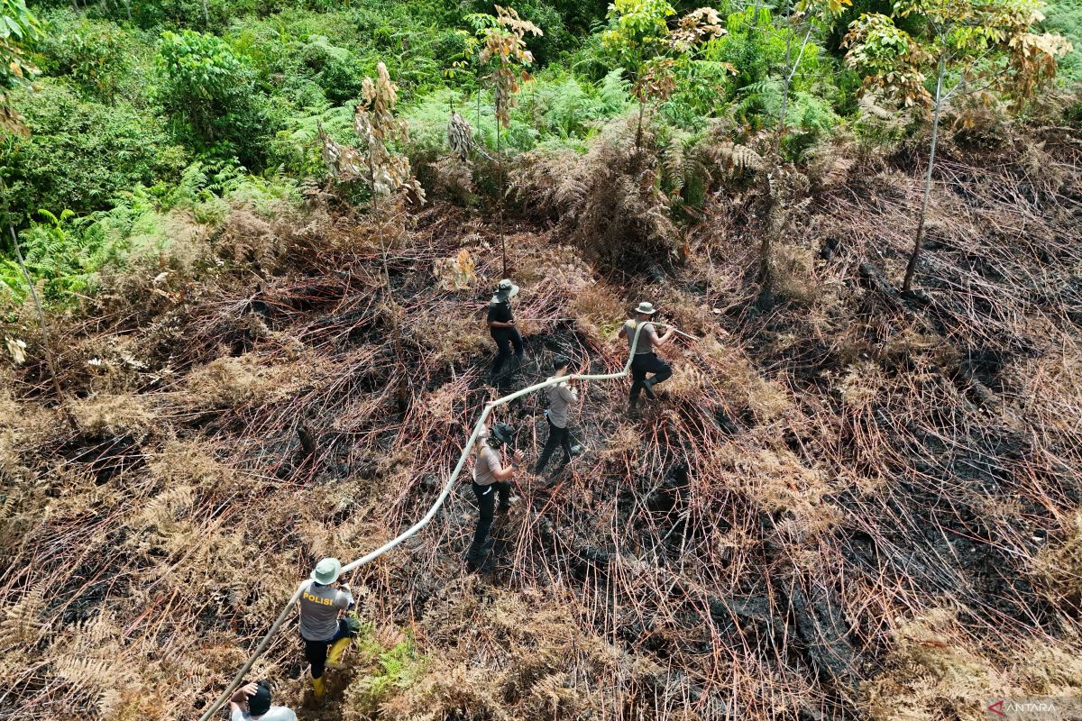 Efforts to Extinguish Forest and Land Fires in West Aceh