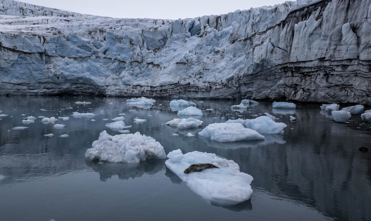 Record 695 Billion Ton Increase in Antarctic Ice: Scientists Discover the Trigger