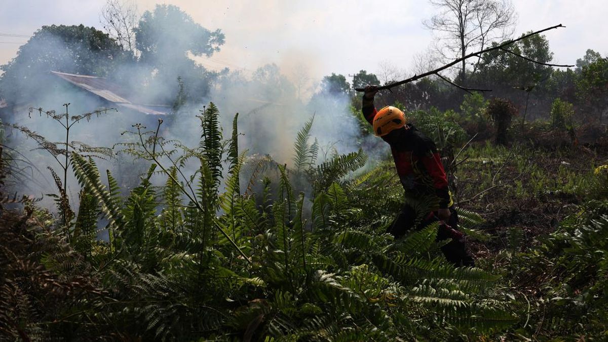 West Kalimantan Extends Forest Fire Smoke Emergency Response Until 20 September